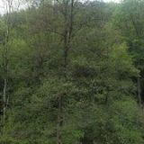 EKOLOGICKÉ VOLNOČASOVÉ CENTRUM ŠVÝCÁRNA