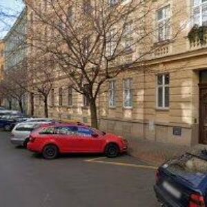 obrazek: avatar WALLINGEROVÁ ALICE Mgr.