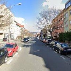 obrazek: avatar KNEISEL IRIS