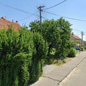 obrazek: avatar VÍNO ZBOROVSKÝ