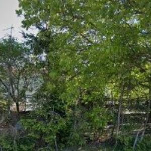 obrazek: avatar PENZION & VINNÝ SKLEP ŠALDORF