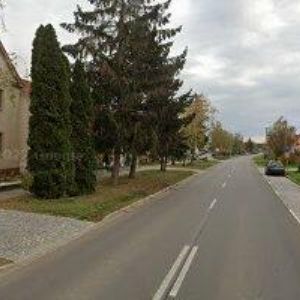 obrazek: avatar RODINNÉ VINAŘSTVÍ MACHALÍNEK