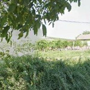 obrazek: avatar VINNÝ SKLEP A PENZION U VINOHRADU