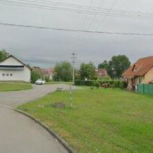 obrazek: avatar VINNÝ SKLÍPEK MUŠOV