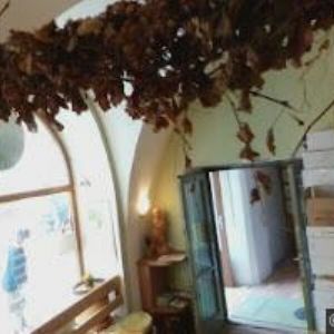 obrazek: avatar VINAŘSKÉ CENTRUM s.r.o.