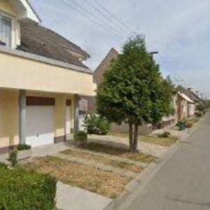 obrazek: avatar KAŇOVSKÝ DAVID