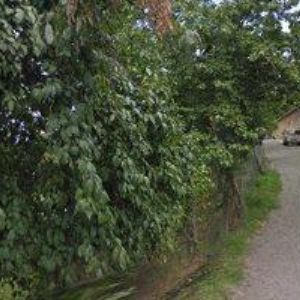 obrazek: avatar PENZION LA VENERIA