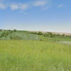 obrazek: avatar VINAŘSTVÍ KARLÍK-PENZION ŠARDICE