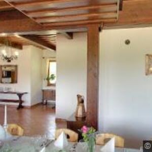 obrazek: avatar VINNÉ SKLEPY SKALÁK