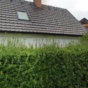 obrazek: avatar PENZION HAMRY