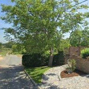 obrazek: avatar UBYTOVÁNÍ NA VINICI