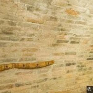 obrazek: avatar APARTMÁNY NA VINAŘSKÉ