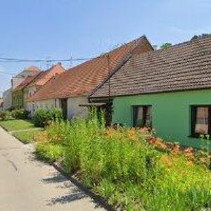 obrazek: avatar VINNÝ SKLÍPEK VALTICE