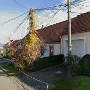 obrazek: avatar MACHO ALENA