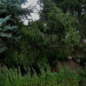 obrazek: avatar VILA ALŽBĚTA