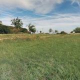 STATEK OLŠANY s.r.o.