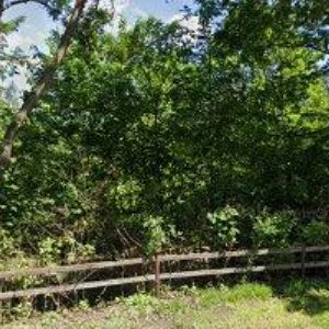 obrazek: avatar CHATA VESELKA