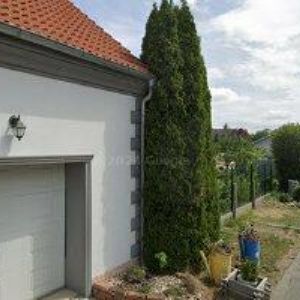 obrazek: avatar PENZION MONIKA