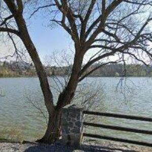 obrazek: avatar INTRADE-P