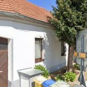 obrazek: avatar KOLLMANNOVÁ MILENA