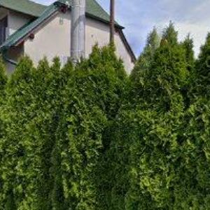 obrazek: avatar VINAŘSKÝ DŮM SH BŘEZÍ, s.r.o.