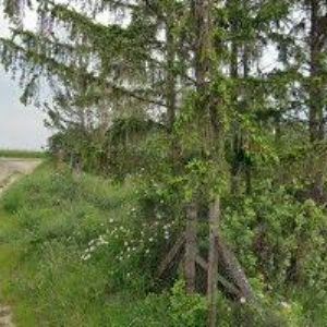 obrazek: avatar VINAŘSTVÍ A PENZION KNÁPEK s.r.o.