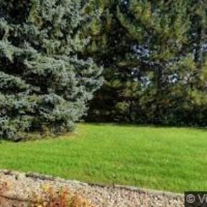 obrazek: avatar ZŠ A MŠ Olbramovice