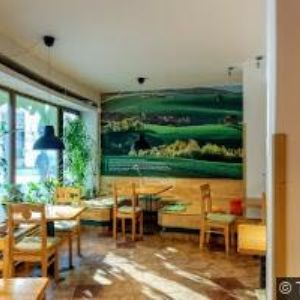 obrazek: avatar REBIO RESTAURACE ZDRAVÉ VÝŽIVY