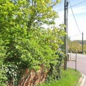 obrazek: avatar VINNÉ SKLEPY LECHOVICE, spol. s r.o.