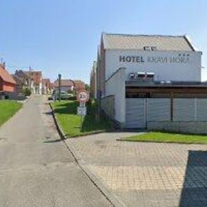 obrazek: avatar RODINNÉ VINAŘSTVÍ JEDLIČKA, BOŘETICE a.s.