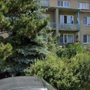 obrazek: avatar VINAŘSTVÍ A VČELAŘSTVÍ