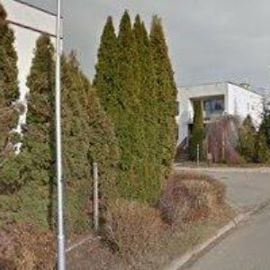 obrazek: avatar U MEDŇANSKÝCH