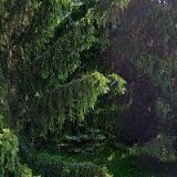 VINAŘSTVÍ PAVEL A RADIM STÁVKOVI