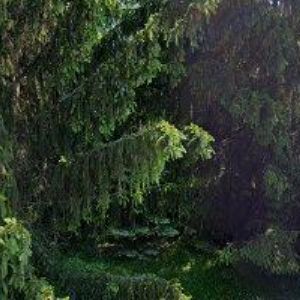 obrazek: avatar VINAŘSTVÍ PAVEL A RADIM STÁVKOVI