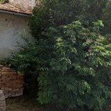 HOSPODA NA HRADBÁCH