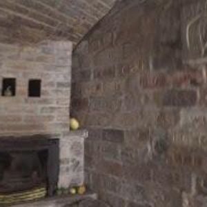 obrazek: avatar VINAŘSTVÍ LEDNICE ANNOVINO a.s.