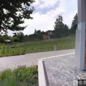 obrazek: avatar VINAŘSTVÍ STARÝ VRCH