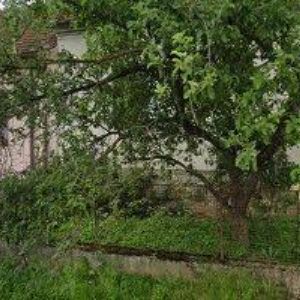 obrazek: avatar SCHOTTENBERGER JIŘÍ