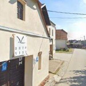 obrazek: avatar ARTE VINI, spol. s r.o.