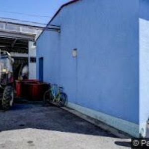 obrazek: avatar SYFANY, spol. s r.o.