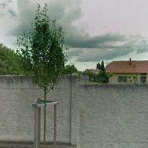 obrazek: avatar ZŠ A MŠ Pustiměř