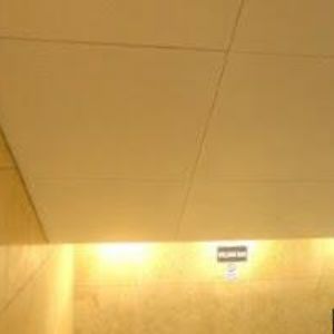 obrazek: avatar BASTILA MUSIC CLUB