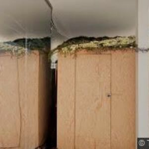 obrazek: avatar CRAFTBEER IMPORT