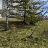 TANEČNÍ KONZERVATOŘ Brno