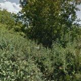 MŠ TIŠNOVSKÁ Brno