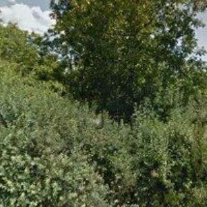 obrazek: avatar MŠ TIŠNOVSKÁ Brno