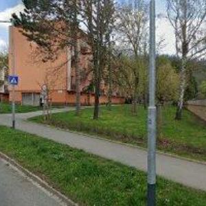 obrazek: avatar MŠ ŠKOLIČKA U LESA