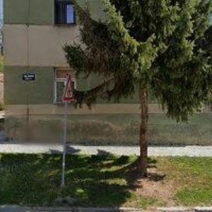 obrazek: avatar MŠ ZVÍDÁLEK Slavkov u Brna