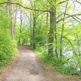 RESTAURACE U VODNÁŘE