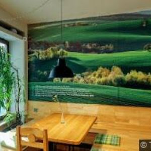 obrazek: avatar CESTA ČAJE